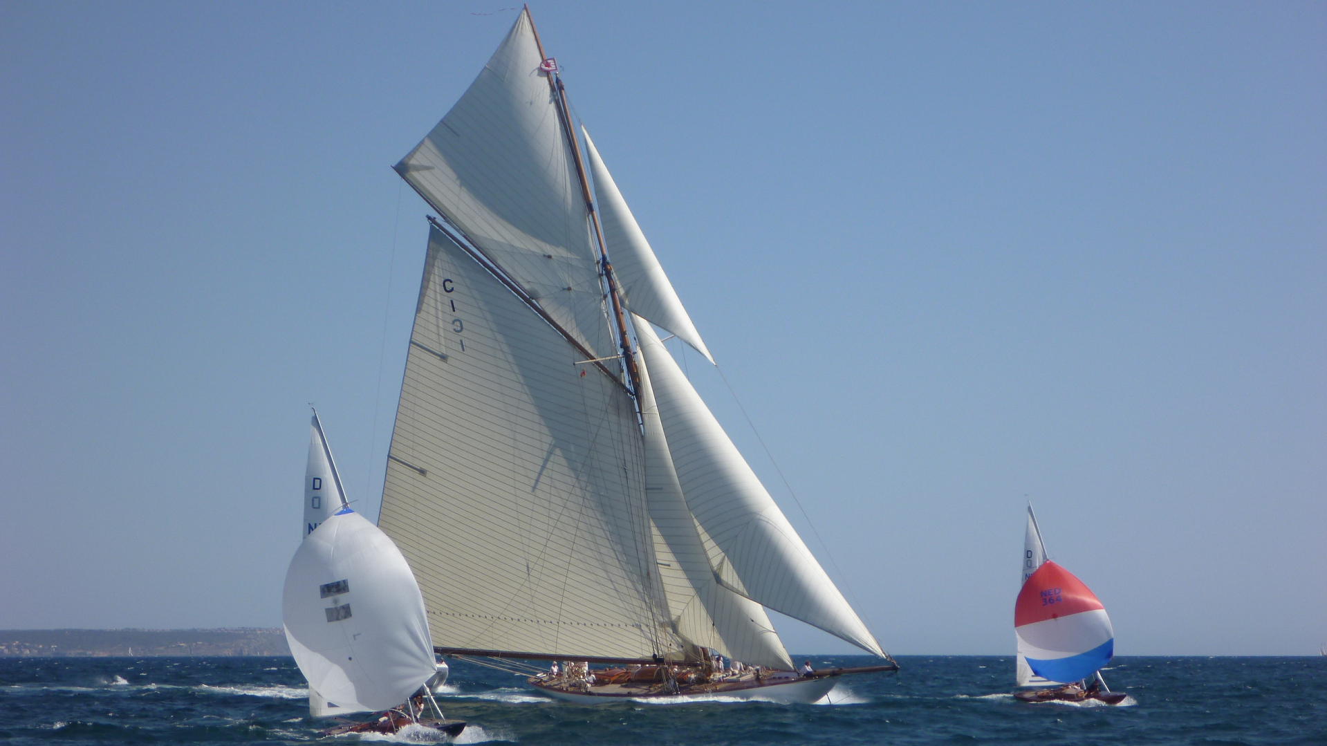 mallorca yacht race